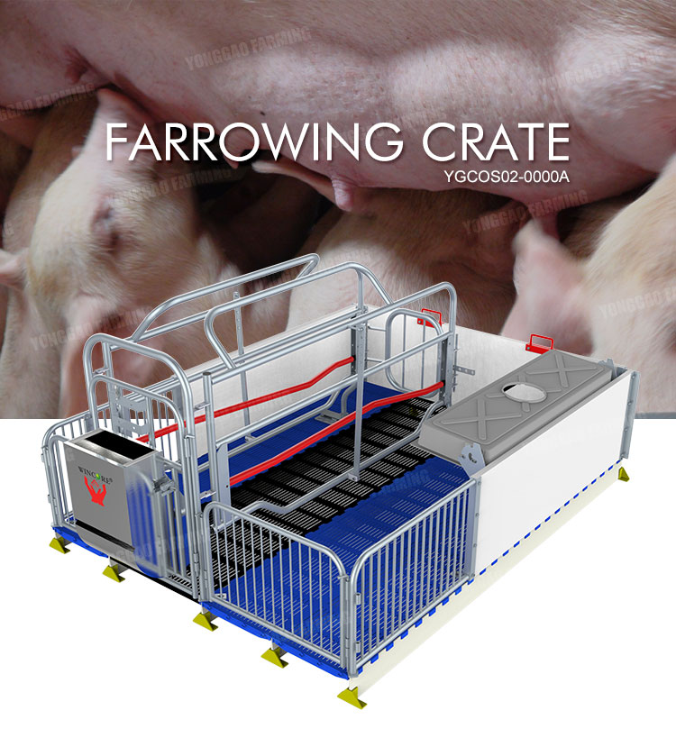 New Design 1800*2400mm Hot Dip Galvanizing Pig Farming Equipment Adjustable Farrowing Crates For Pigs